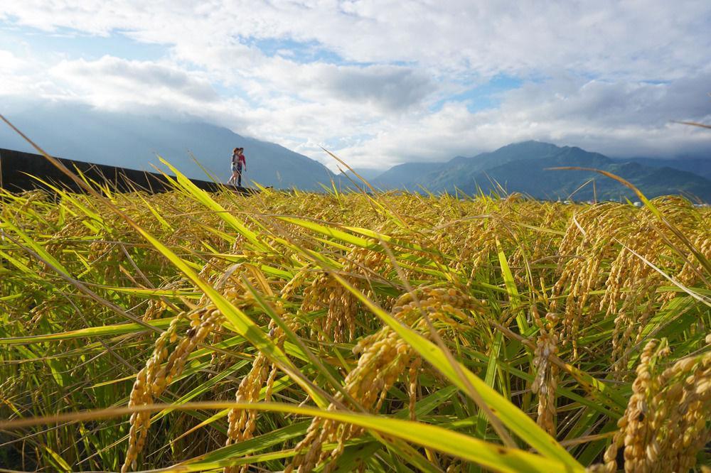 Snail Trail B&B Taitung Экстерьер фото